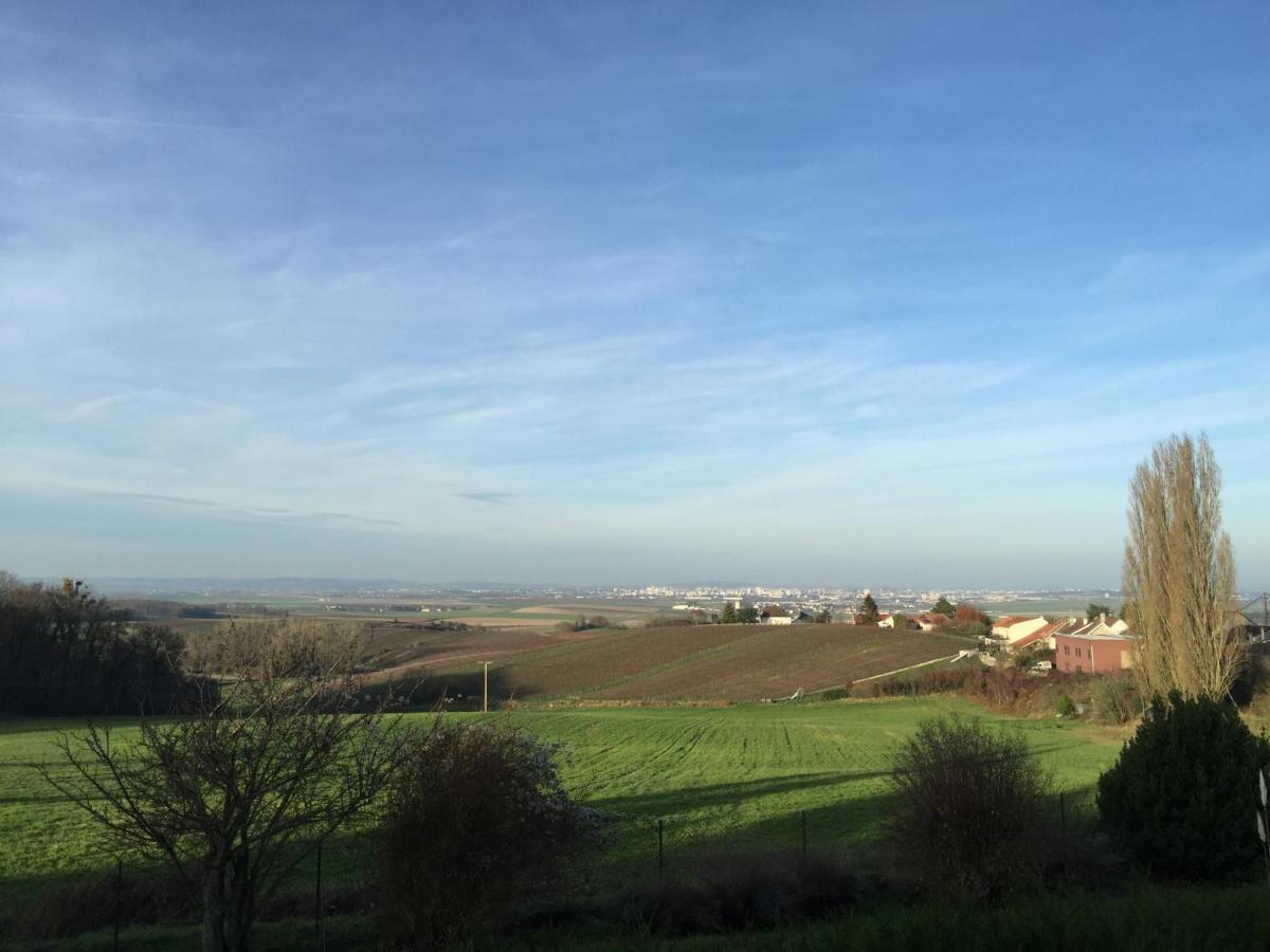 Villa Reims Epernay Champagne Vineyard Villers-Allerand ภายนอก รูปภาพ