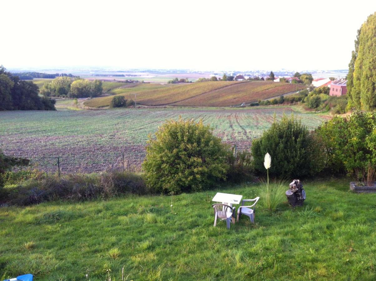 Villa Reims Epernay Champagne Vineyard Villers-Allerand ภายนอก รูปภาพ